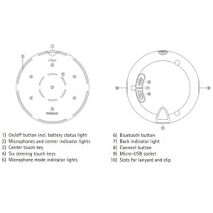 Phonak Roger Select